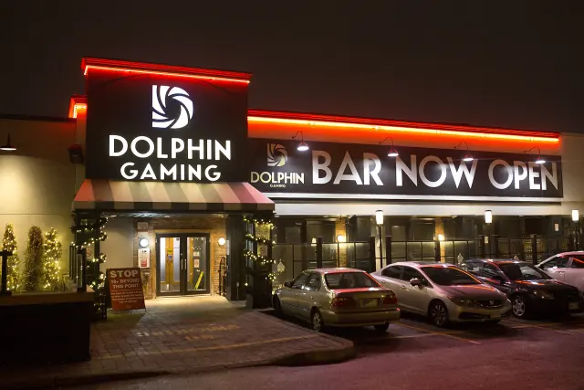 Dolphin Gaming